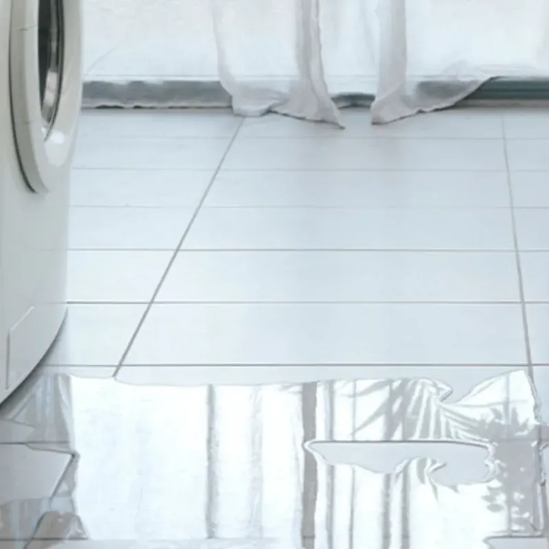 Appliance Leak Cleanup in Leon County, TX