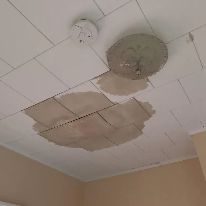 Ceiling Water Damage Repair in Leon County, TX