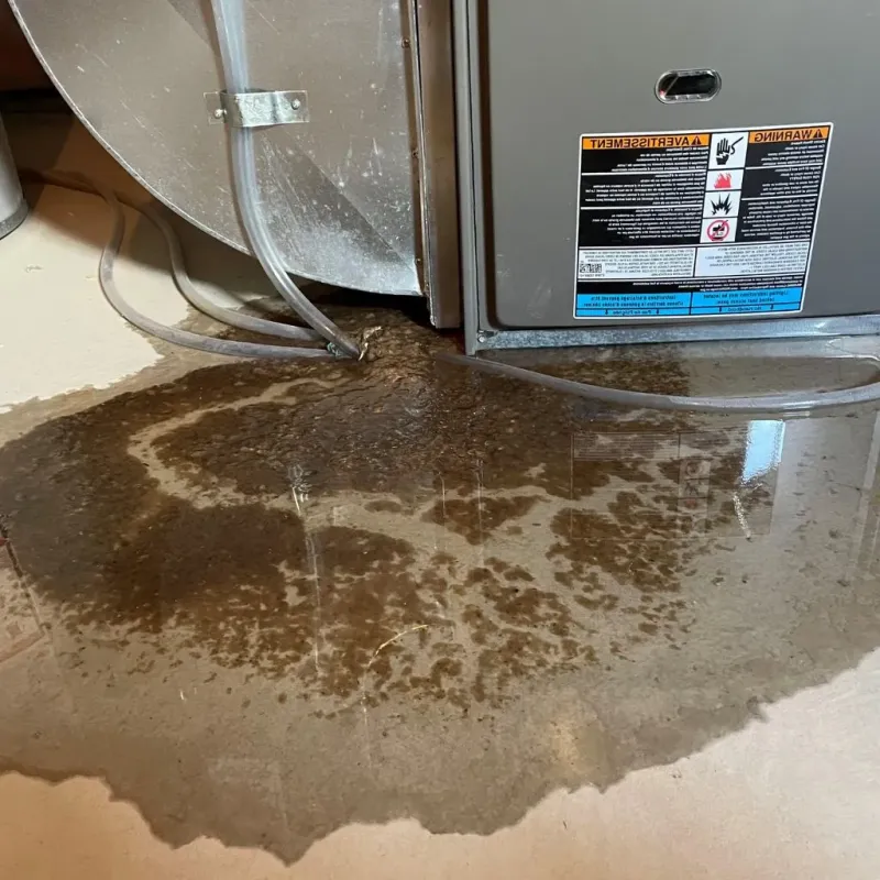 Pipe Burst and Leak Restoration in Leon County, TX